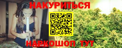 сатива Пенза