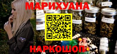 сатива Пенза