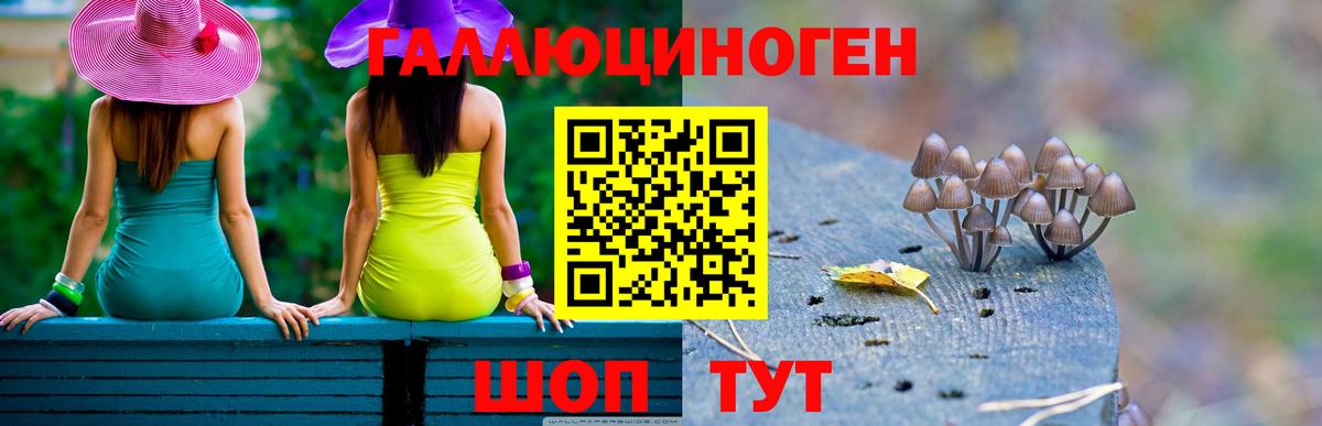 Галлюциногенные грибы мухоморы  Вход с VPN  Истра 